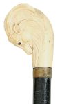 Bengala em madeira lisa laqueada em negro, encimadapor castão em osso esculpido com cabeça de cabritomontês. Compr. 97 cm